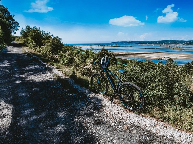 Aktivni oddih v Portorožu: 6 razlogov za kolesarjenje po Slovenski Istri