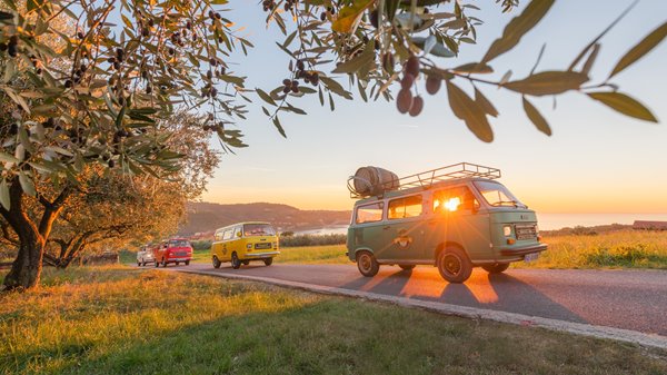Gourmet excursion with vintage cars